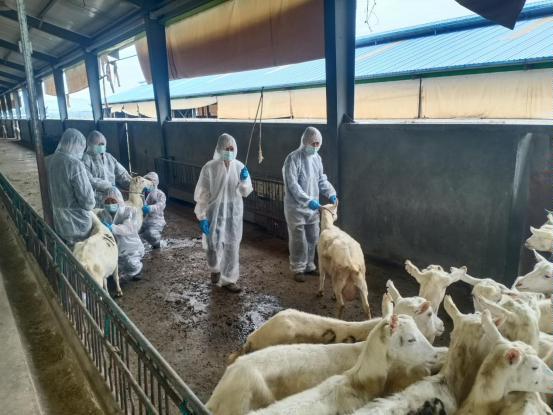 千陽縣畜產局再獲省級榮譽，產業興旺助力鄉村振興